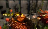 visual pingplus最新版 5.0.0.1 免费版